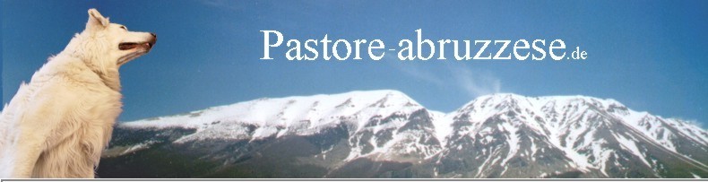 Pastore abruzzese